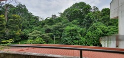 Clementi Park (D21), Condominium #251438301